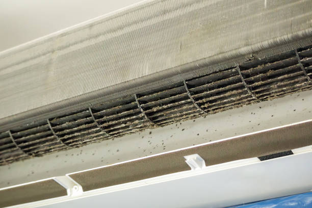 Best Local Air Duct Cleaning Services  in Ocean Pointe, HI